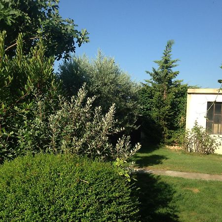 B&B - Le Vieux Figuier Vacqueyras Kültér fotó