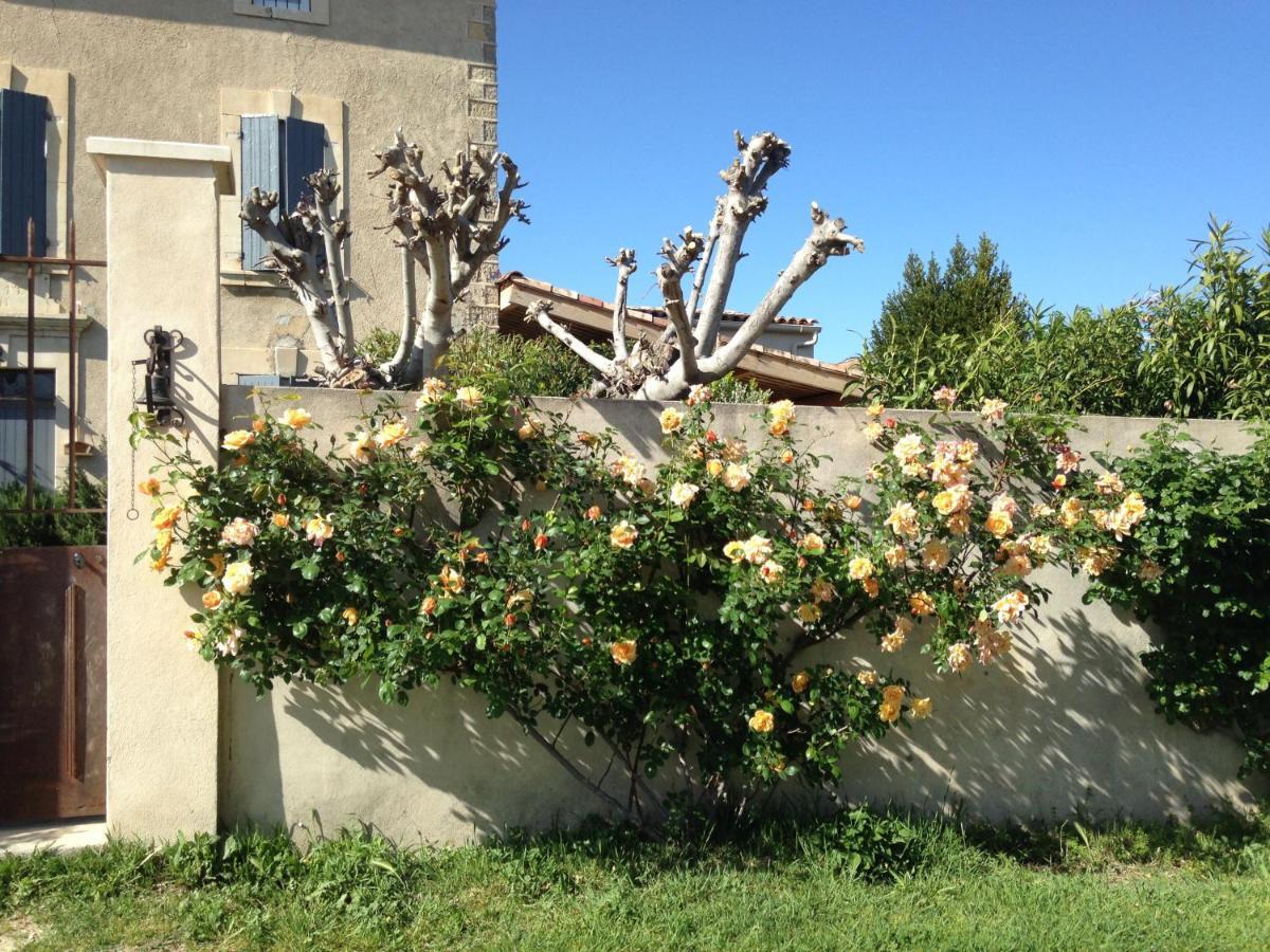 B&B - Le Vieux Figuier Vacqueyras Kültér fotó